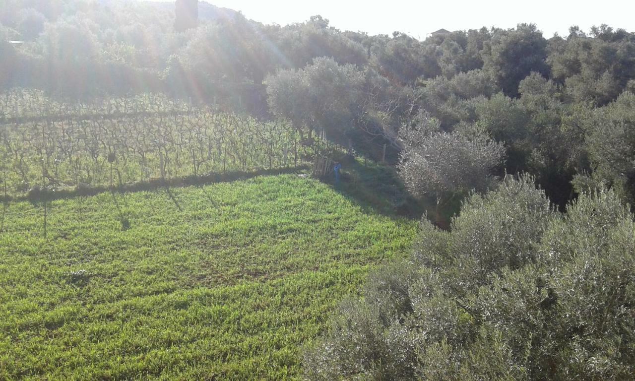 شقة To Agridi Tsoukaládhes المظهر الخارجي الصورة